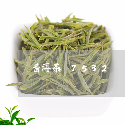 普洱茶 7532/2023041287251